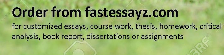 Essay Writing Company